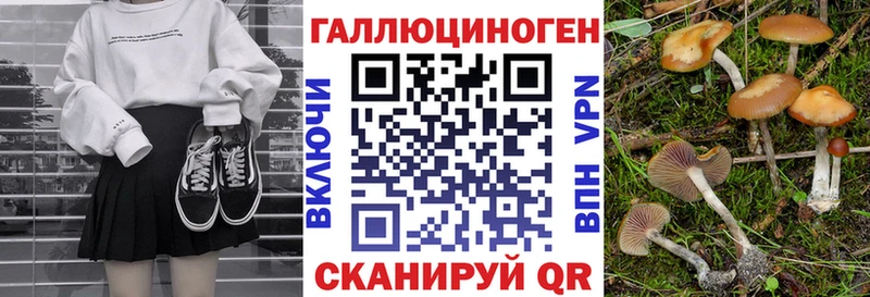 Галлюциногенные грибы прущие грибы Камызяк