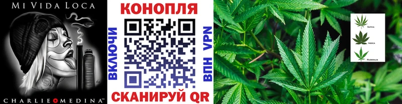 Марихуана планчик Камызяк