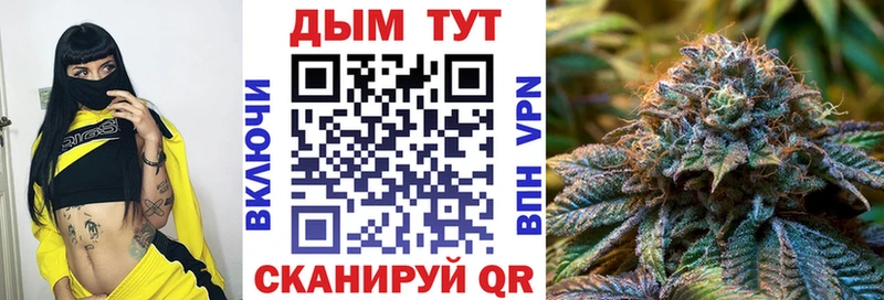 как найти наркотики  Камызяк  Конопля OG Kush 